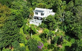 The Metta House